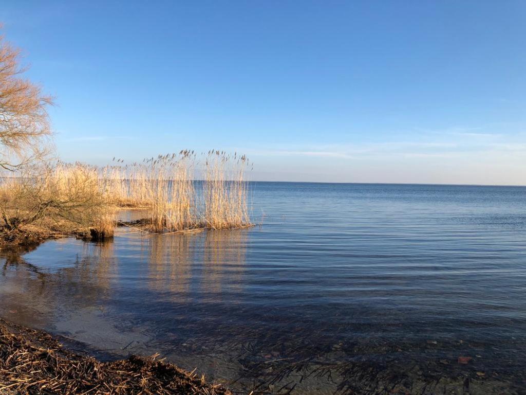 Ferienwohnung Seeblick - Insel Usedom Balm Exterior foto